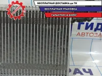 Испаритель кондиционера Vortex Tingo T118107150.