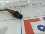 Датчик кислородный верхний Vortex Tingo .