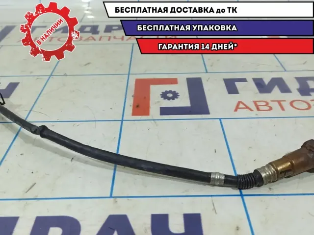 Датчик кислородный нижний Vortex Tingo .