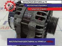Генератор Vortex Tingo B113701110BB.