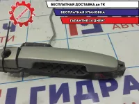 Ручка двери передняя правая Vortex Tingo T116105240.