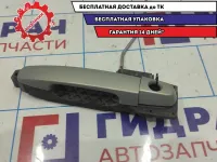 Ручка двери передняя левая Vortex Tingo T116105230.