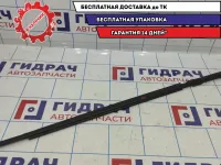 Молдинг стекла двери задней левой Vortex Tingo .
