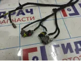 Проводка двери багажника Vortex Tingo T113724090.