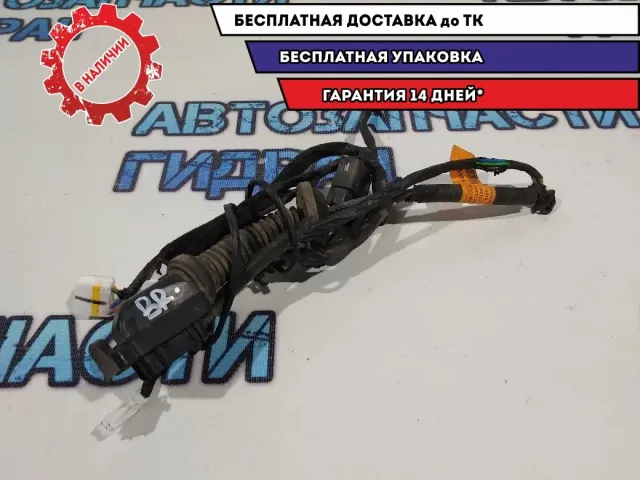 Проводка двери задней правой  Kia Rio 4 X-line 91660H0030.