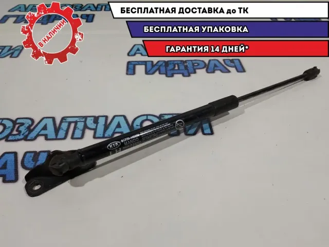Амортизатор двери багажника Kia Rio 4 X-line 81770H0200.