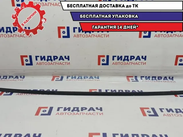 Молдинг крыши правый ZAZ Vida 96648566.