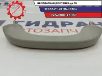 Ручка внутренняя потолочная ZAZ Vida 96448451.