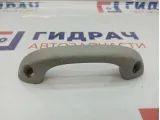 Ручка внутренняя потолочная ZAZ Vida 96448451.