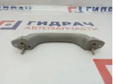Ручка внутренняя потолочная ZAZ Vida 96448451.