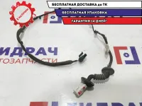 Проводка двери задней левой ZAZ Vida 96652081.