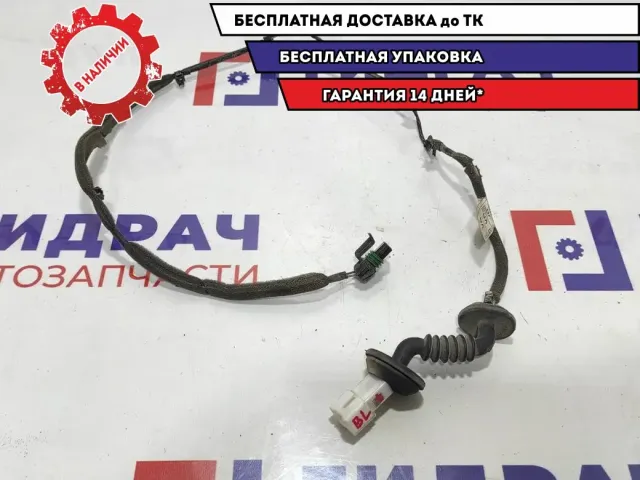 Проводка двери задней левой ZAZ Vida 96652081.