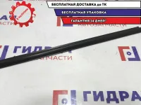 Накладка стекла заднего правого ZAZ Vida 96649131.