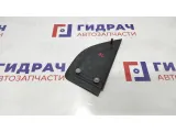Накладка двери задней левой наружняя ZAZ Vida 96649124.