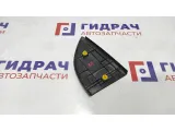 Накладка двери задней правой внутренняя ZAZ Vida 96649643.