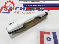 Ручка двери задней правой наружная ZAZ Vida 96468254.