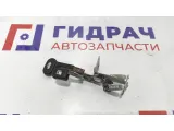 Ручка открывания багажника ZAZ Vida 96216127. И лючка бензобака.