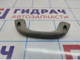 Ручка внутренняя потолочная ZAZ Vida 96448451