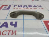 Ручка внутренняя потолочная ZAZ Vida 96448451