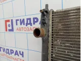 Радиатор основной ZAZ Vida