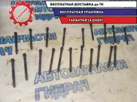 Болты ГБЦ Audi A8 2003 Отличное состояние