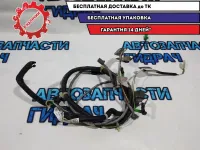 Проводка двери багажника Honda Civic 5D 32155SMGG204GG2 Отличное состояние