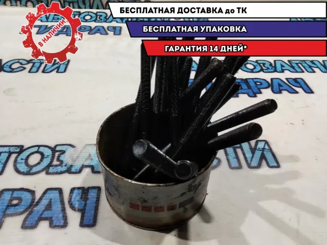 Болты ГБЦ Hyundai H1/Grand Starex Отличное состояние