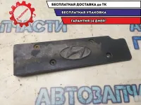 Накладка на клапанную крышку Hyundai i20 2010 224052B000 Отличное состояние