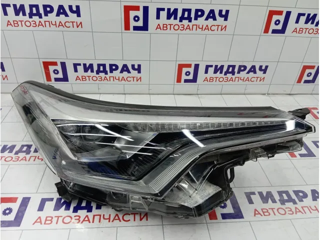 Фара правая Toyota C-HR 8114510890