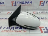 Зеркало электрическое левое Kia Rio 3 876204Y031