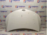 Капот Kia Rio 3 664004Y000