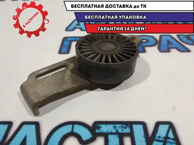 Ролик-натяжитель ручейкового ремня Renault Sandero 2. 117507577R.