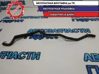 Шланг системы охлаждения Renault Sandero 2. 217412928R.