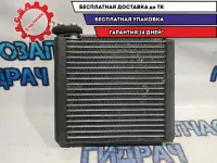 Испаритель кондиционера Mazda CX-7 EG2161J10 .