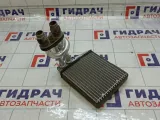 Радиатор отопителя (печки) Volkswagen Jetta V 1K0819031B