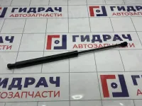 Амортизатор крышки (двери) багажника Peugeot 307 3C рестайлинг 7925 15