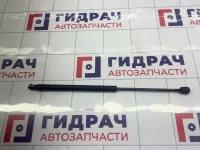 Амортизатор крышки (двери) багажника Hyundai Getz I рестайлинг 817701C001