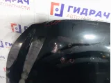 Капот Hyundai Equus (VI) 66400-3N000