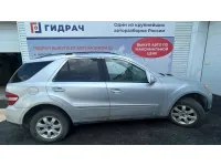 Mercedes-Benz M-класс 