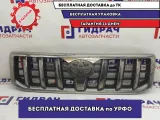 Решетка радиатора Toyota Land Cruiser Prado 120 53101-60322.
