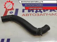 Патрубок радиатора Infiniti FX50 .