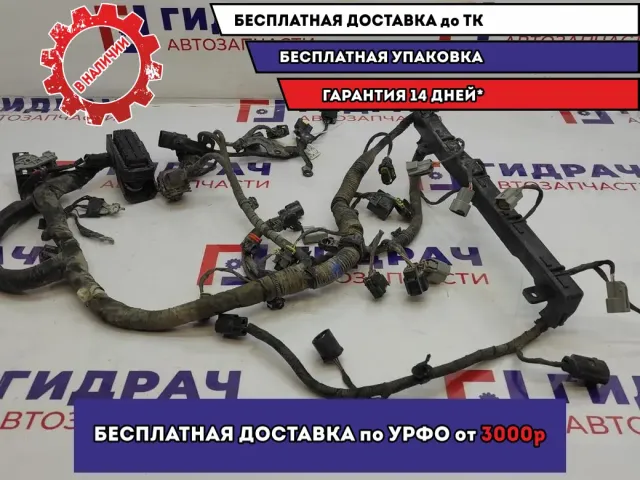 Проводка катушек зажигания Hyundai I30 91420-A6181.