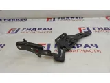 Петля капота левая BMW X5 (E70) 41007198617.