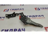 Петля капота левая BMW X5 (E70) 41007198617.