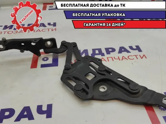 Петля капота правая BMW X5 (E70) 41007198618.