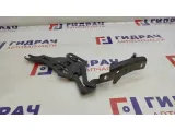 Петля капота правая BMW X5 (E70) 41007198618.