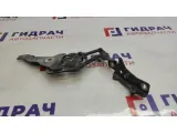 Петля капота правая BMW X5 (E70) 41007198618.