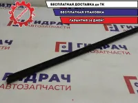 Уплотнитель стекла двери передней правой Great Wall Hover H5 6102137K80.