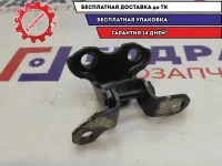 Петля двери передней правой нижняя Lexus RX (AGL10) 68730-02080. Новая.