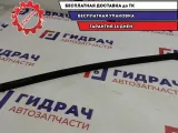 Уплотнитель стекла двери передней правой Kia Cerato (TD) 822411M001WK.